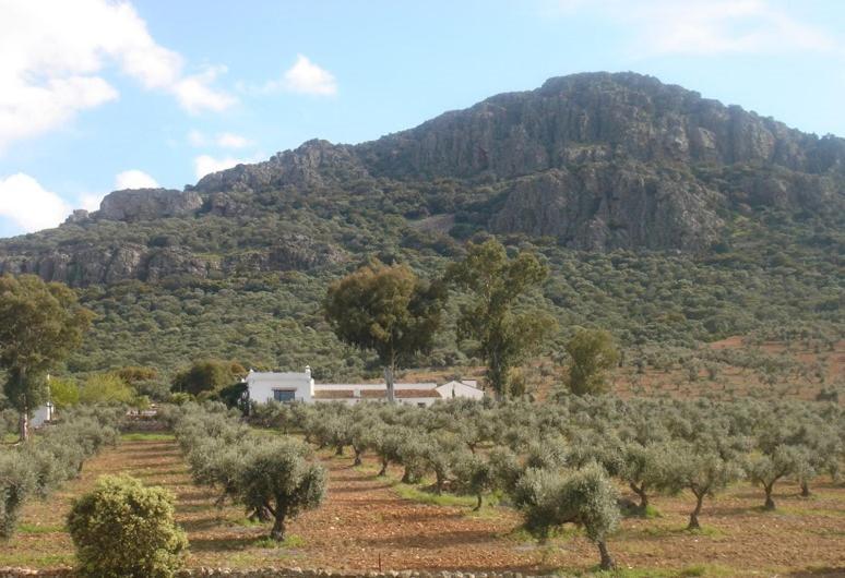 Casa Rural Sierra De Mampar Hornachos Esterno foto
